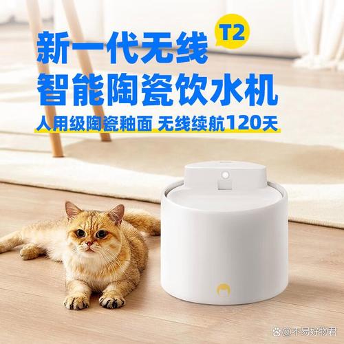 告别频繁更换！这些耐用猫咪饮水机品牌值得入手
